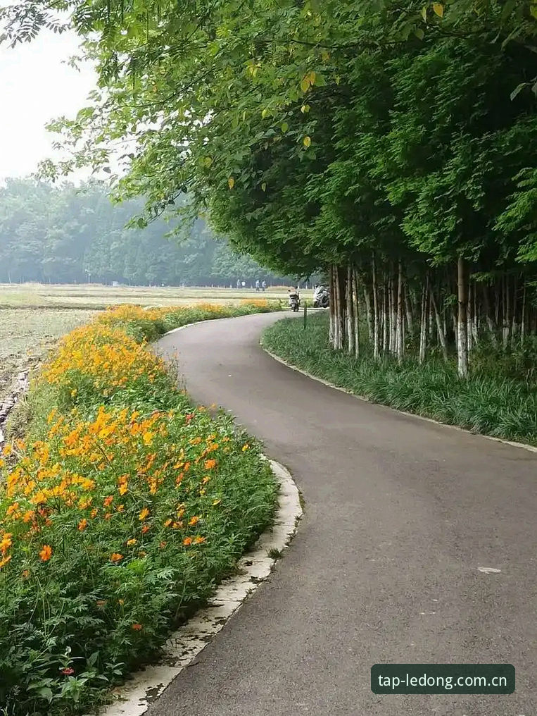 老陈教你一句话说透：随手就打开安卓2026版怎么下载，别再走弯路了